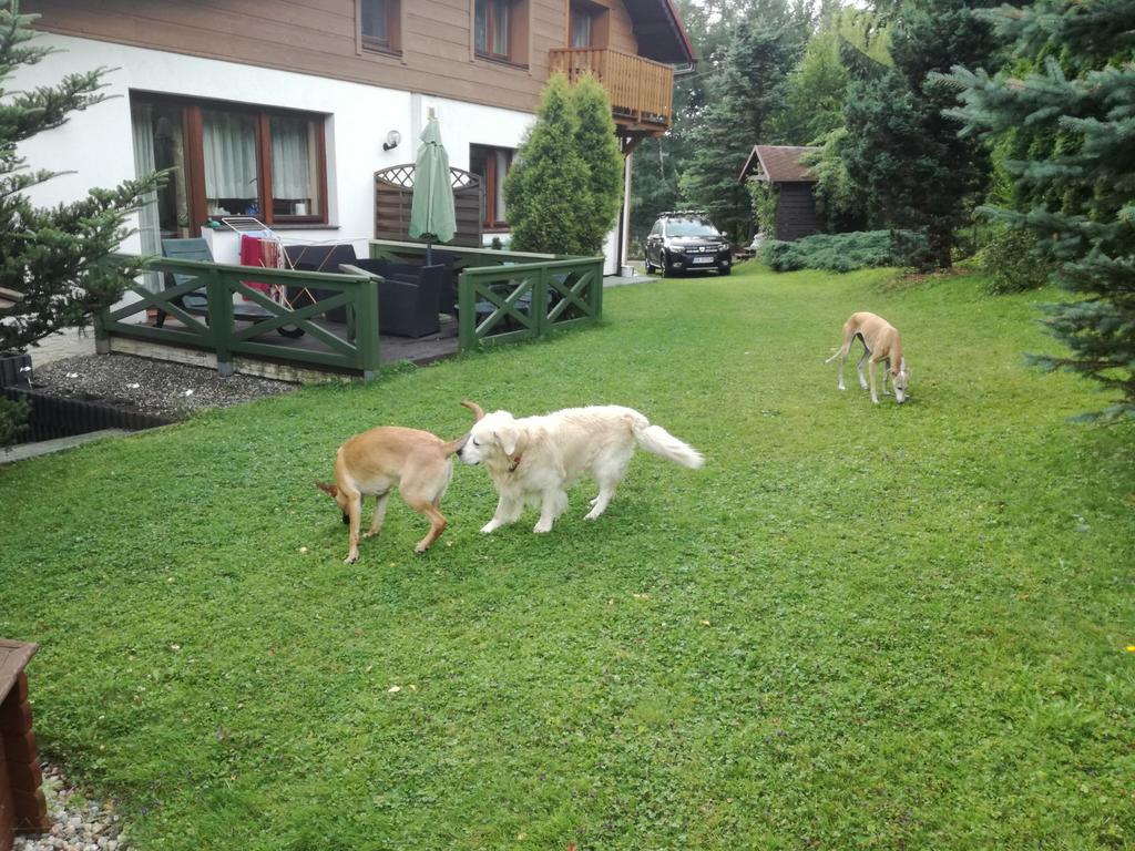 Willa Panorama Spa Ustron Dış mekan fotoğraf